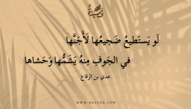 قصيدة لو يستطيع ضجيعها لأجنها