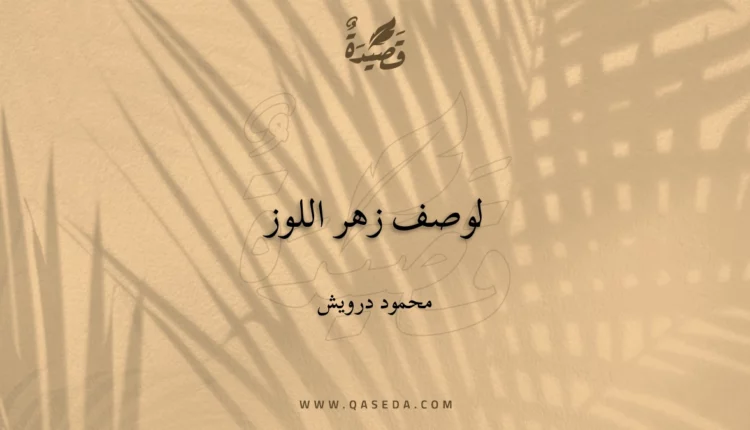 قصيدة لوصف زهر اللوز