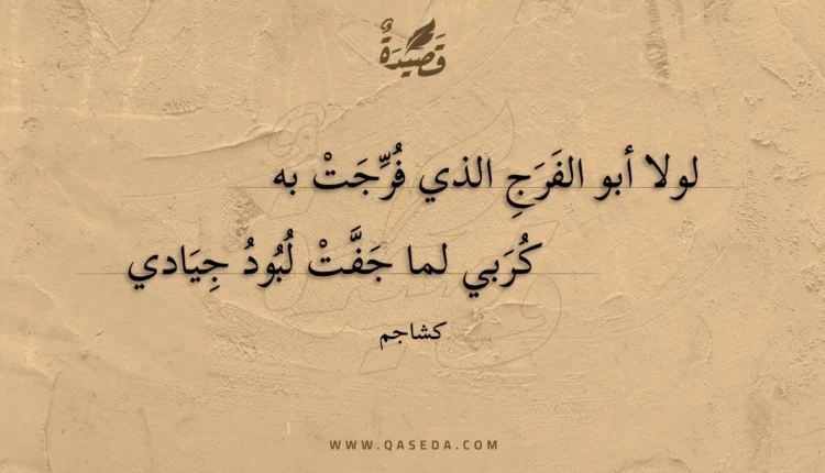 قصيدة لولا أبو الفرج الذي فرجت به