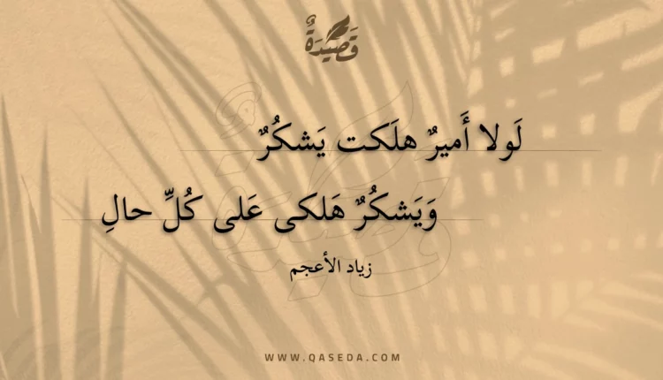 قصيدة لولا أمير هلكت يشكر