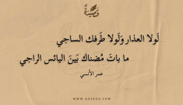 قصيدة لولا العذار ولولا طرفك الساجي