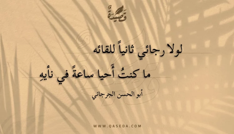 قصيدة لولا رجائي ثانيا للقائه
