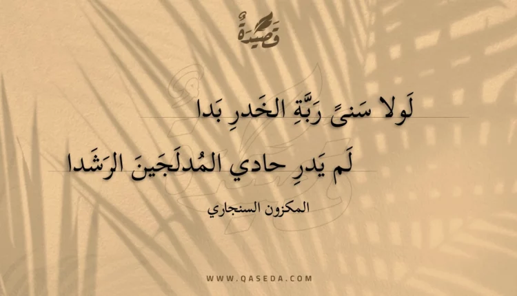 قصيدة لولا سنى ربة الخدر بدا