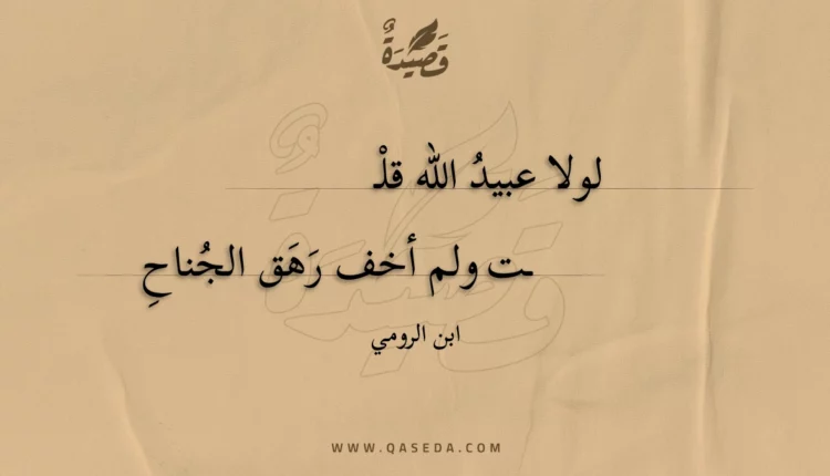 قصيدة لولا عبيد الله قلت ولم أخف رهق الجناح