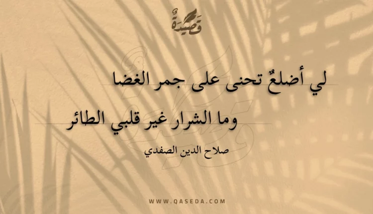 قصيدة لي أضلع تحنى على جمر الغضا