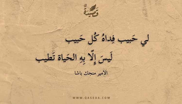قصيدة لي حبيب فداه كل حبيب