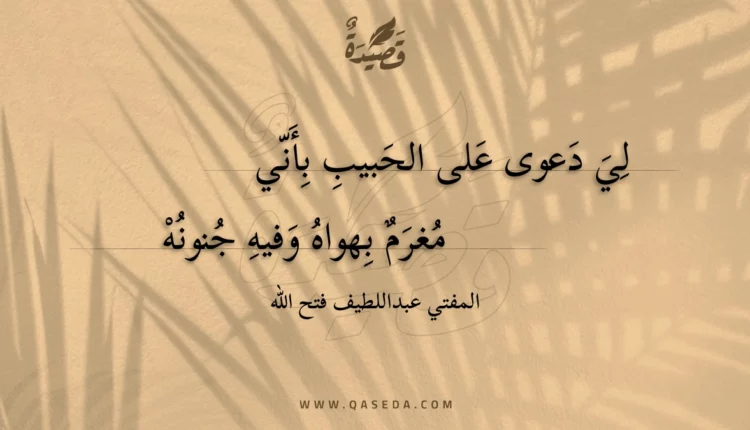 قصيدة لي دعوى على الحبيب بأني