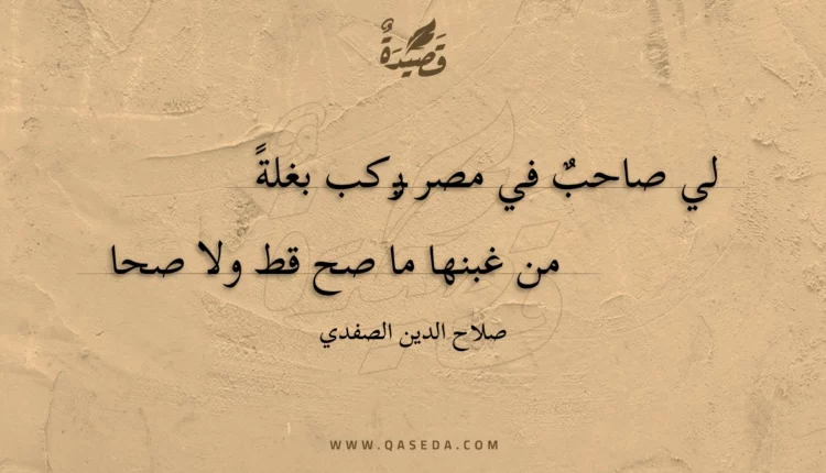قصيدة لي صاحب في مصر يركب بغلة