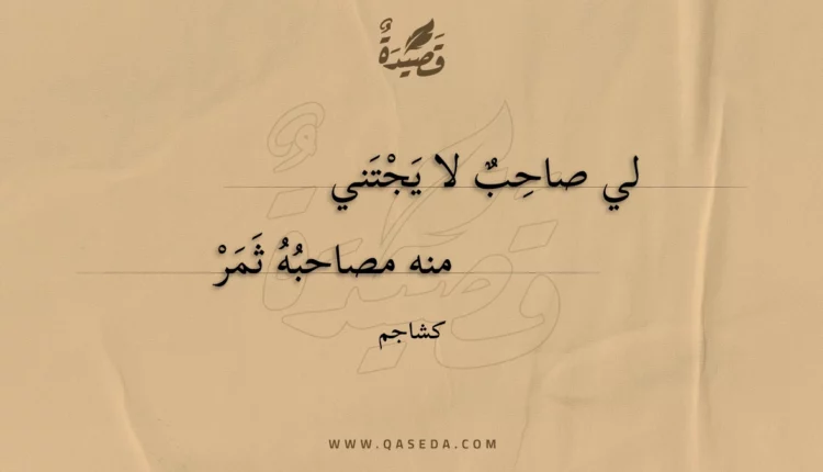 قصيدة لي صاحب لا يجتني