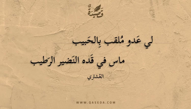 قصيدة لي عدو ملقب بالحبيب