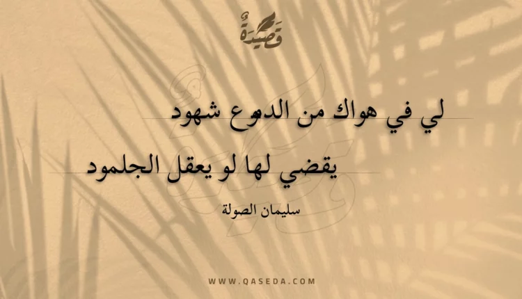قصيدة لي في هواك من الدموع شهود