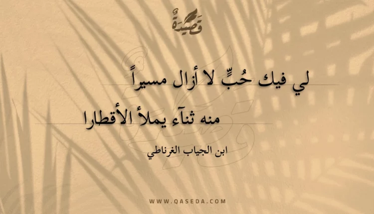 قصيدة لي فيك حب لا أزال مسيرا
