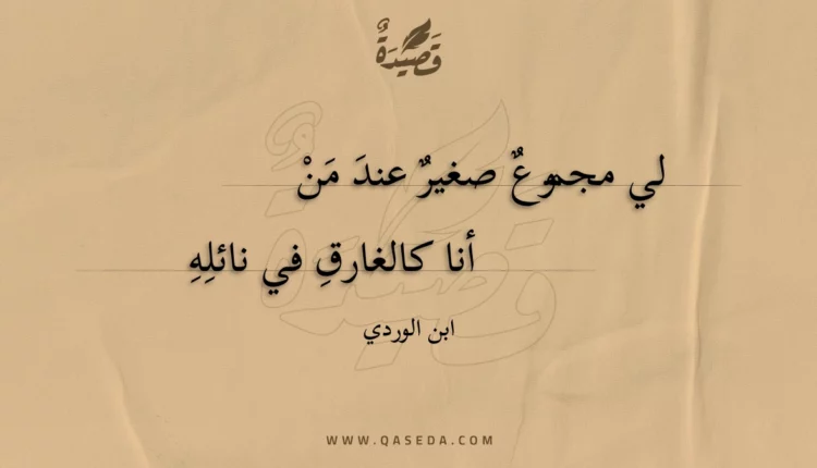 قصيدة لي مجموع صغير عند من