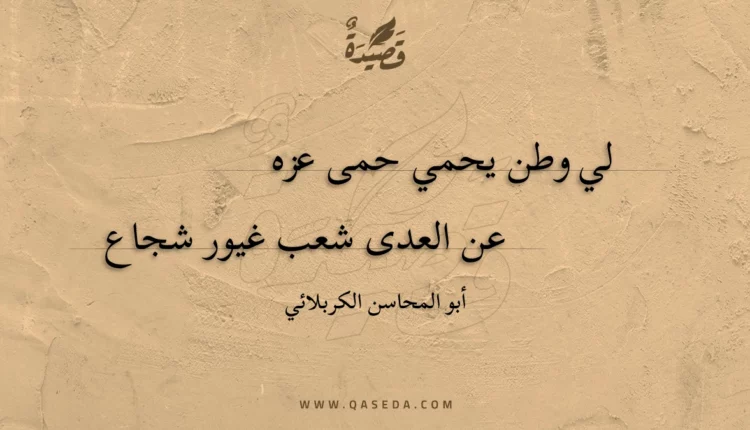 قصيدة لي وطن يحمي حمى عزه