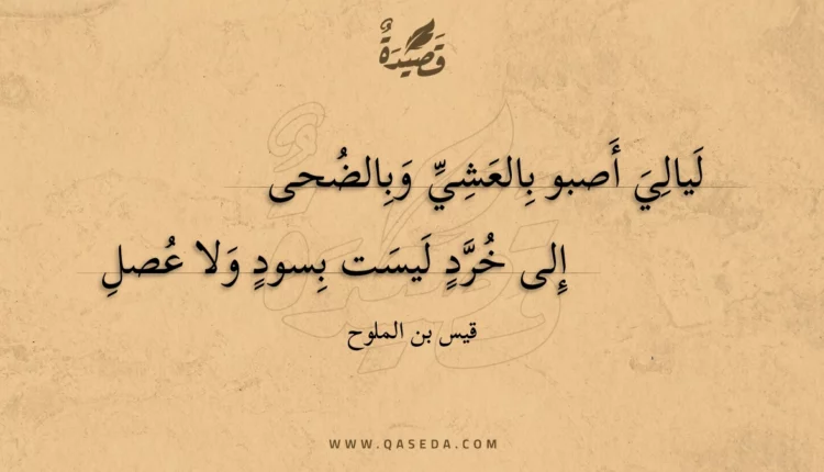 قصيدة ليالي أصبو بالعشي وبالضحى
