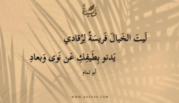 قصيدة ليت الخيال فريسة لرقادي