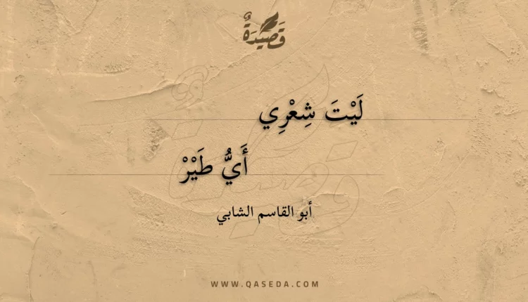 قصيدة ليت شعري