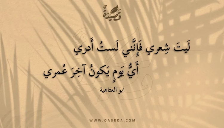 قصيدة ليت شعري فإنني لست أدري