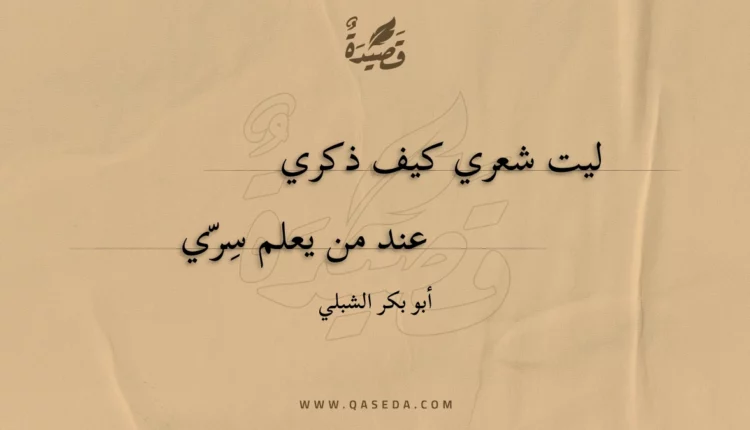 قصيدة ليت شعري كيف ذكري
