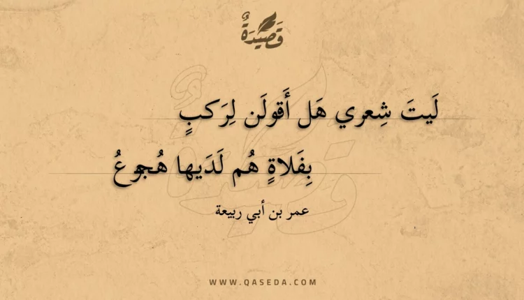 قصيدة ليت شعري هل أقولن لركب