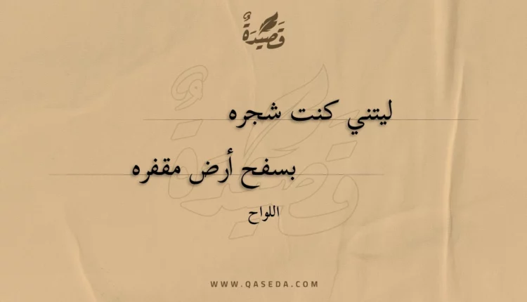 قصيدة ليتني كنت شجره