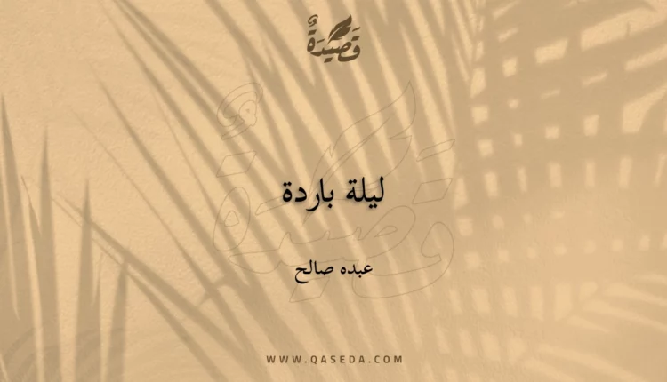 قصيدة ليلة باردة