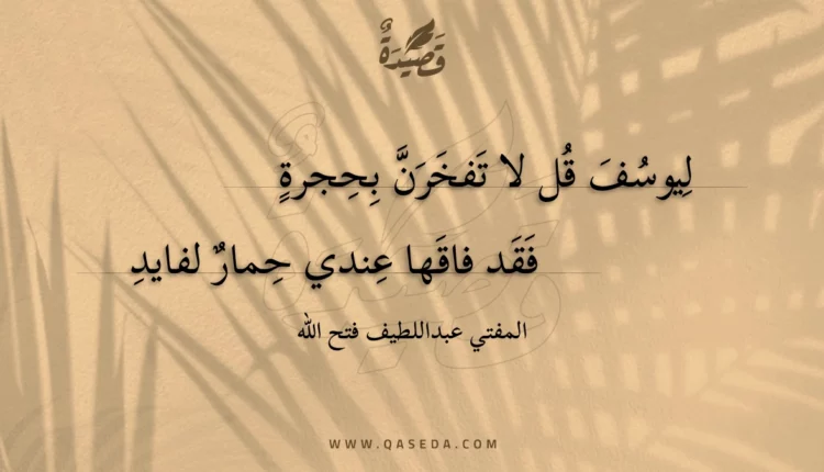 قصيدة ليوسف قل لا تفخرن بحجرة