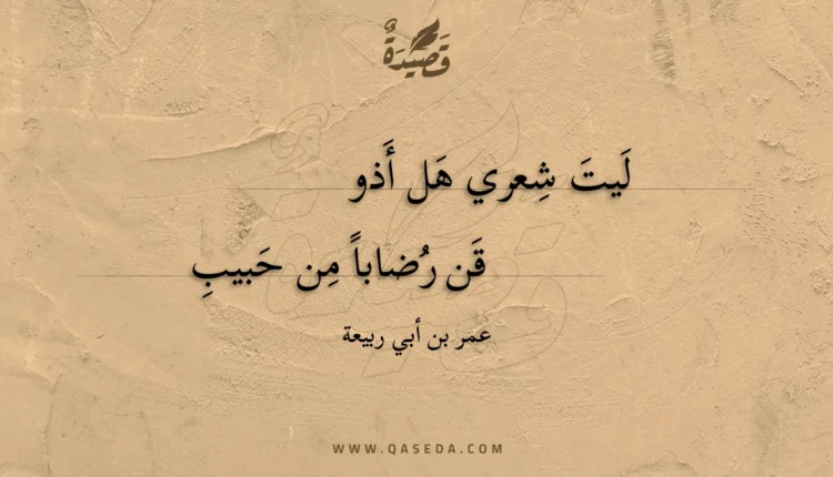قصيدة لَيتَ شِعري هَل أَذوقن