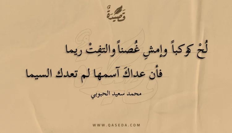 قصيدة لُح كوكباً