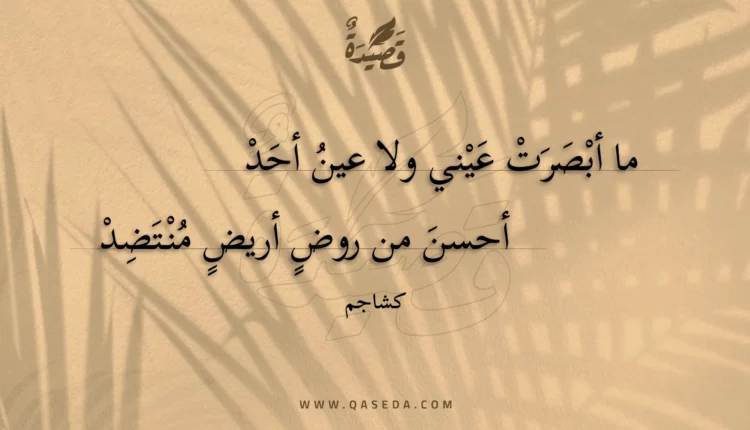 قصيدة ما أبصرت عيني ولا عين أحد