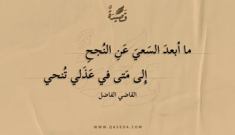 قصيدة ما أبعد السعي عن النجح