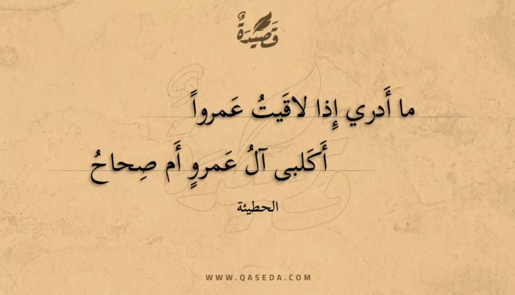 قصيدة ما أدري إذا لاقيت عمروا