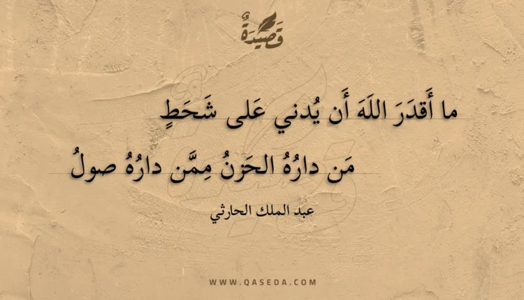 قصيدة ما أقدر الله أن يدني على شحط