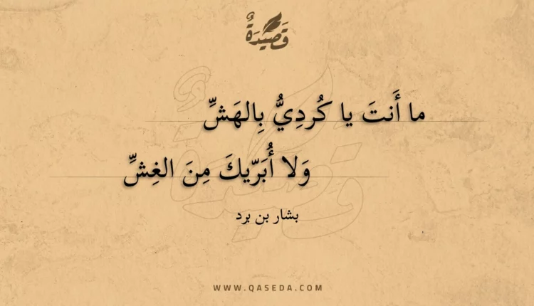 قصيدة ما أنت يا كردي بالهش