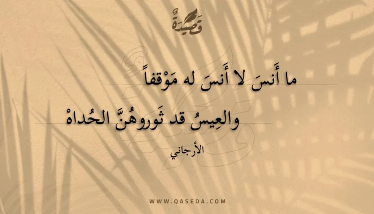 قصيدة ما أنس لا أنس له موقفا