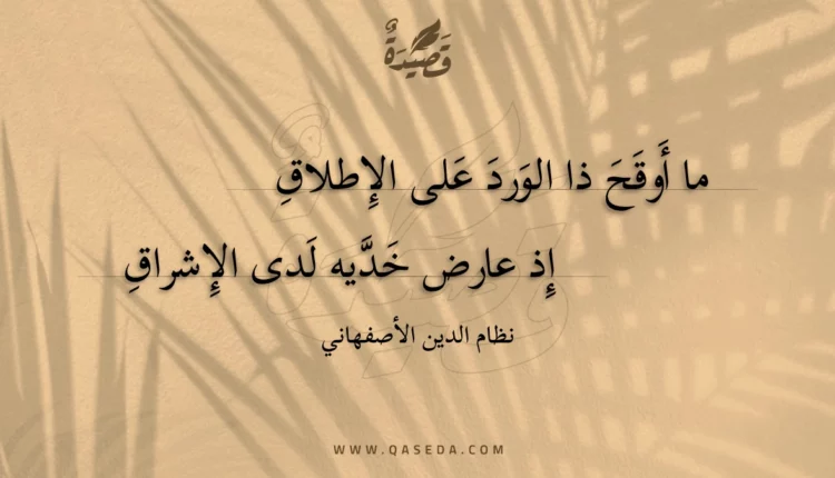 قصيدة ما أوقح ذا الورد على الإطلاق
