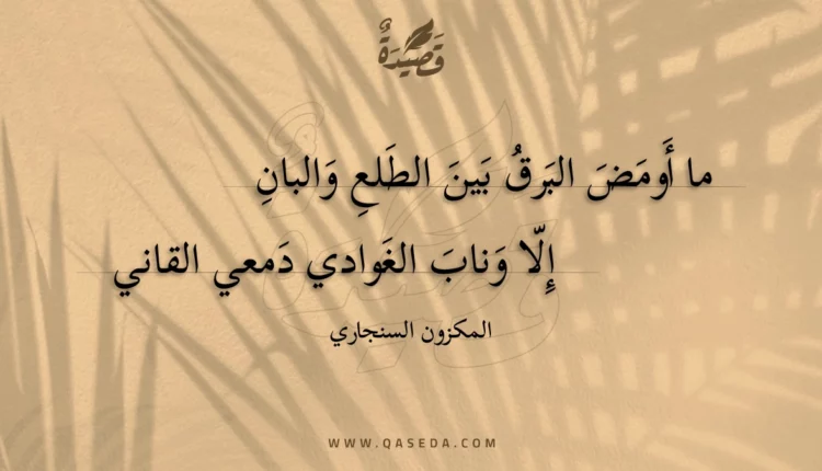 قصيدة ما أومض البرق بين الطلع والبان