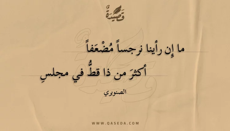 قصيدة ما إن رأينا نرجسا مضعفا