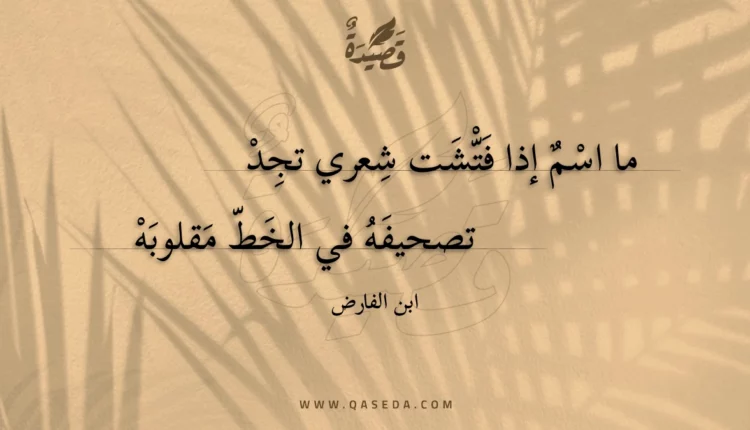 قصيدة ما اسم إذا فتشت شعري تجد