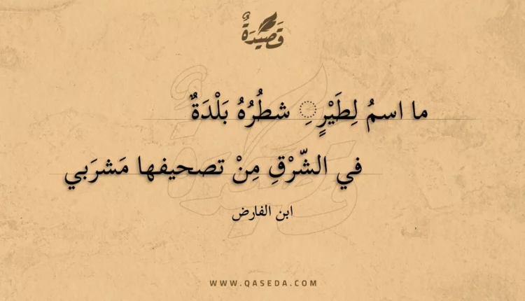قصيدة ما اسم لطير شطره بلدة