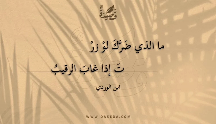 قصيدة ما الذي ضرك لو زرت