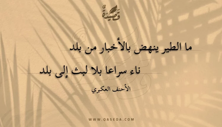 قصيدة ما الطير ينهض بالأخبار من بلد