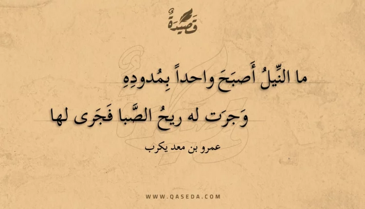 قصيدة ما النيل أصبح واحدا بمدوده