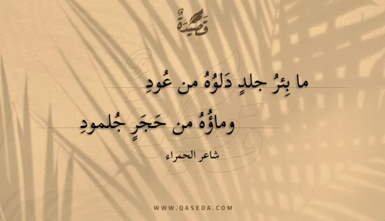 قصيدة ما بئر جلد دلوه من عود