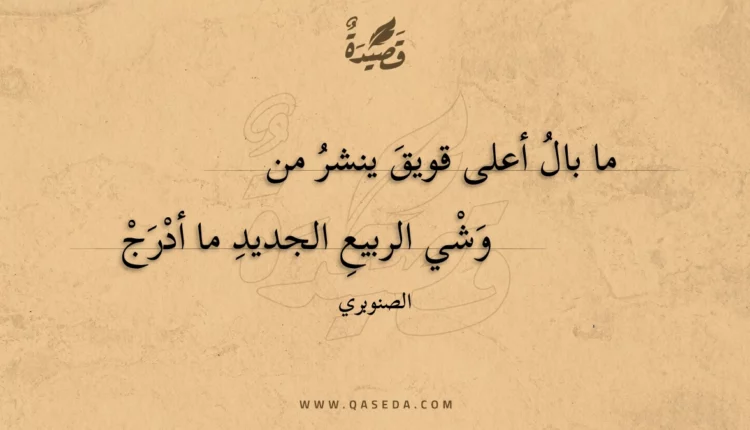 قصيدة ما بال أعلى قويق ينشر من