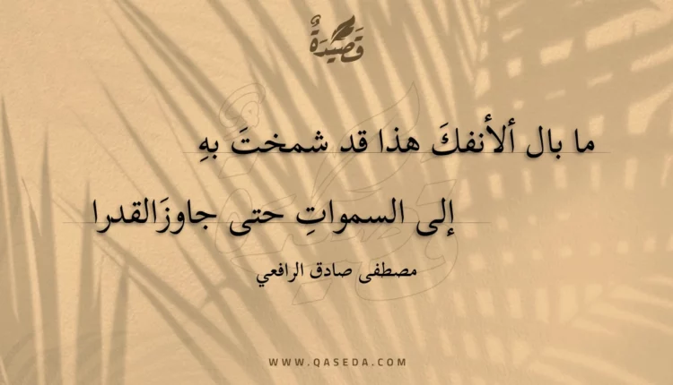 قصيدة ما بال ألأنفك هذا قد شمخت به