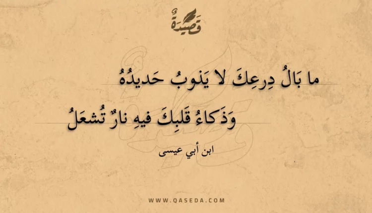 قصيدة ما بال درعك لا يذوب حديده
