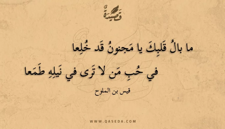 قصيدة ما بال قلبك يا مجنون قد خلعا