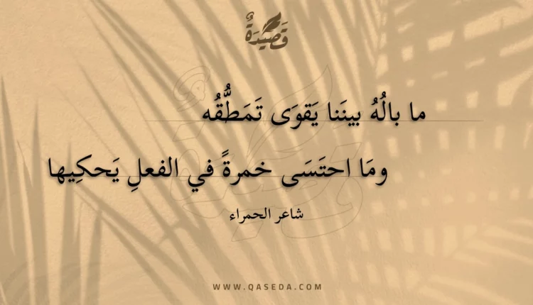 قصيدة ما باله بيننا يقوى تمطقه