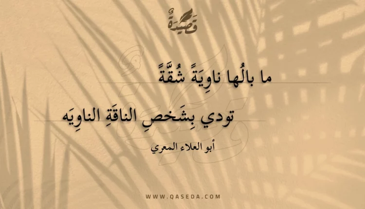 قصيدة ما بالها ناوية شقة